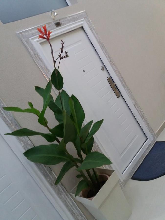 Atina Lux Hostel Leskovac  Buitenkant foto